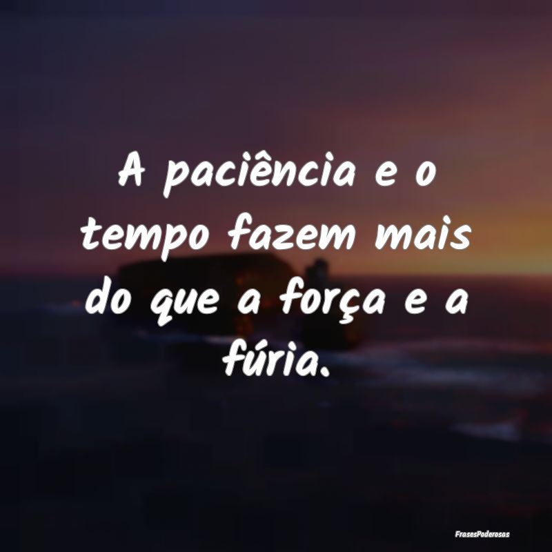 A paciência e o tempo fazem mais do que a força ...