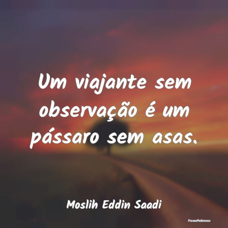 Um viajante sem observação é um pássaro sem as...