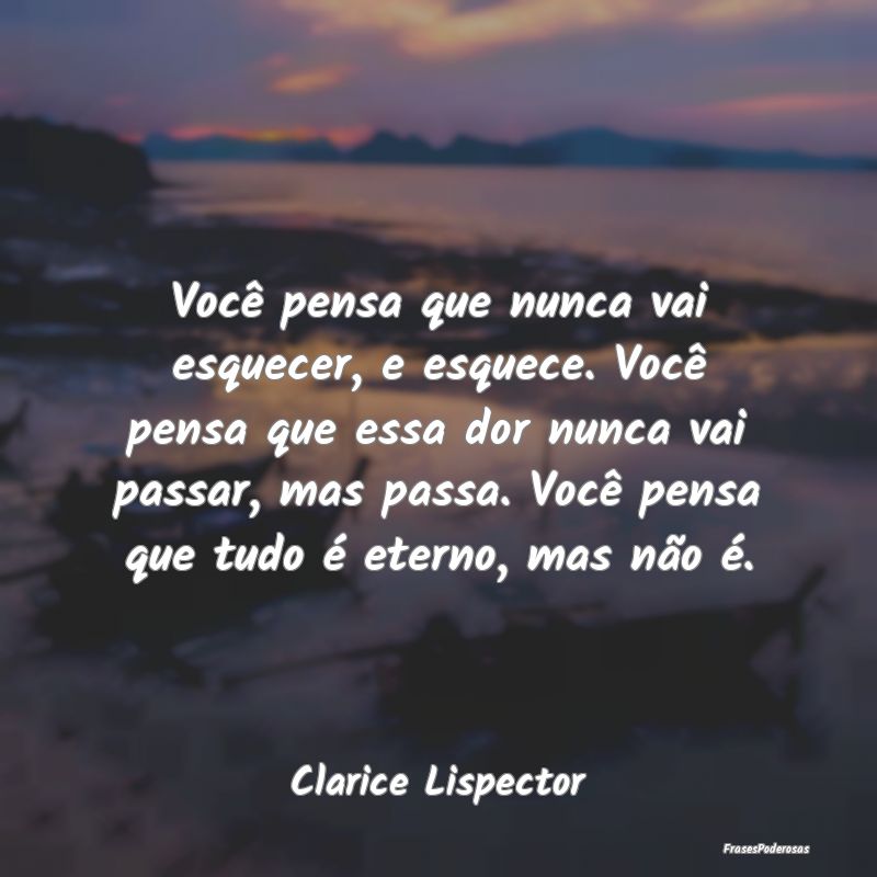 Você pensa que nunca vai esquecer, e esquece. Voc... Você pensa que nunca vai esquecer, e esquece. Voc...