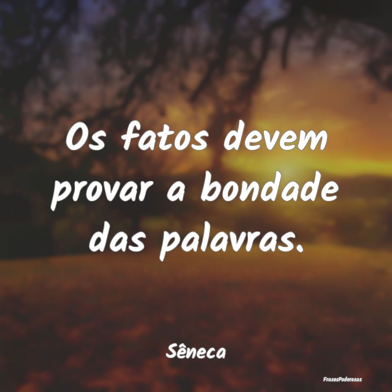 Os fatos devem provar a bondade das palavras....