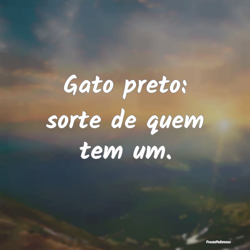 Gato preto: sorte de quem tem um.
...