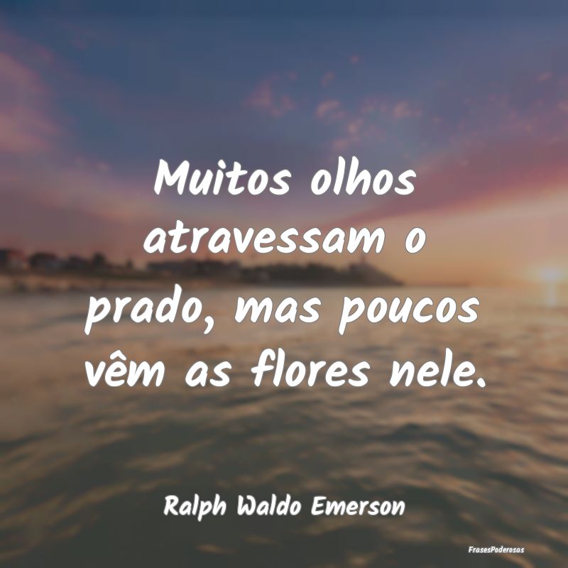 Muitos olhos atravessam o prado, mas poucos vêm a...