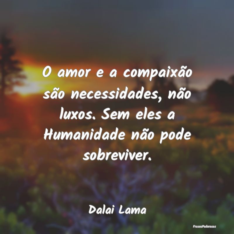 O amor e a compaixão são necessidades, não luxo...
