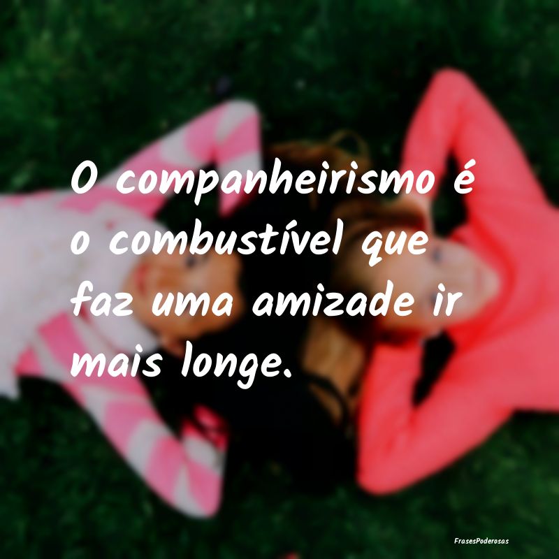 O companheirismo é o combustível que faz uma ami...