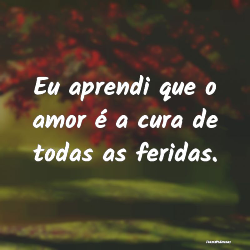 Eu aprendi que o amor é a cura de todas as ferida...