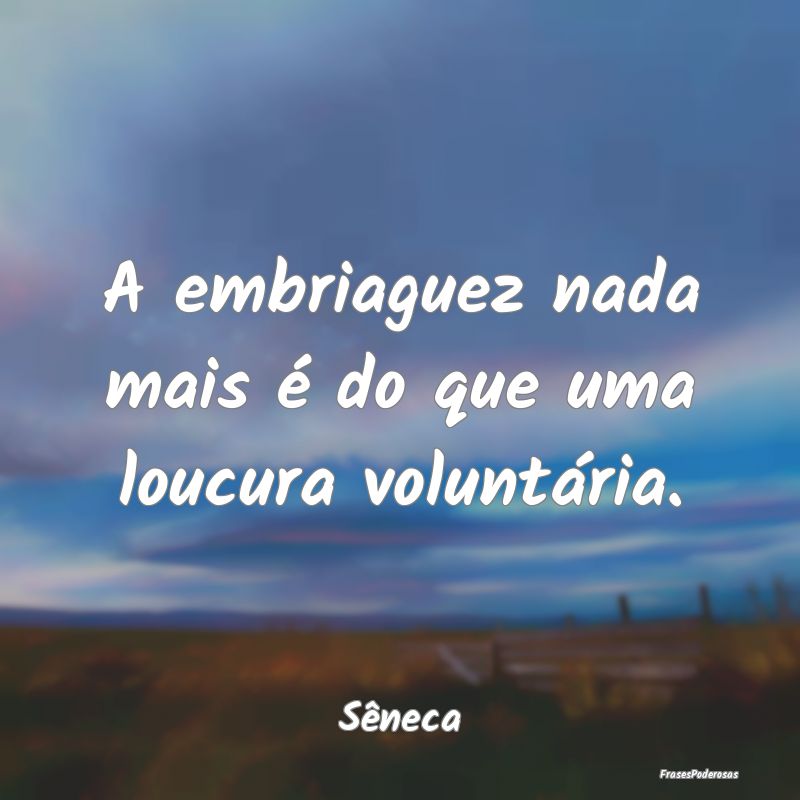 A embriaguez nada mais é do que uma loucura volun...
