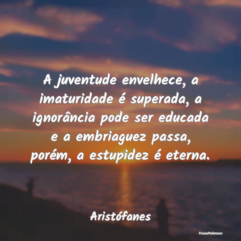 Frases de Ignorância - A juventude envelhece, a imaturidade é superada, ...