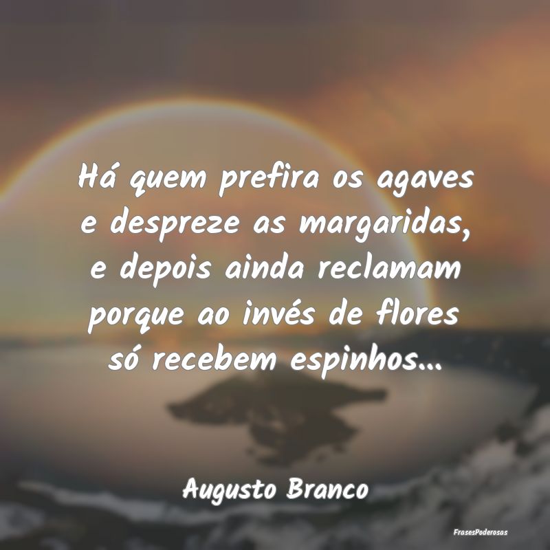 Há quem prefira os agaves e despreze as margarida... Há quem prefira os agaves e despreze as margarida...