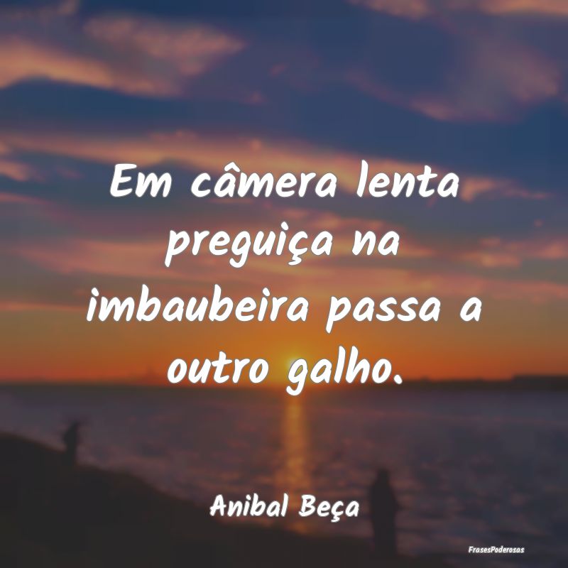 Em câmera lenta preguiça na imbaubeira passa a o...