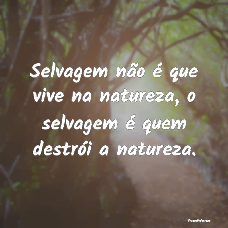 Selvagem não é que vive na natureza, o selvagem ...
