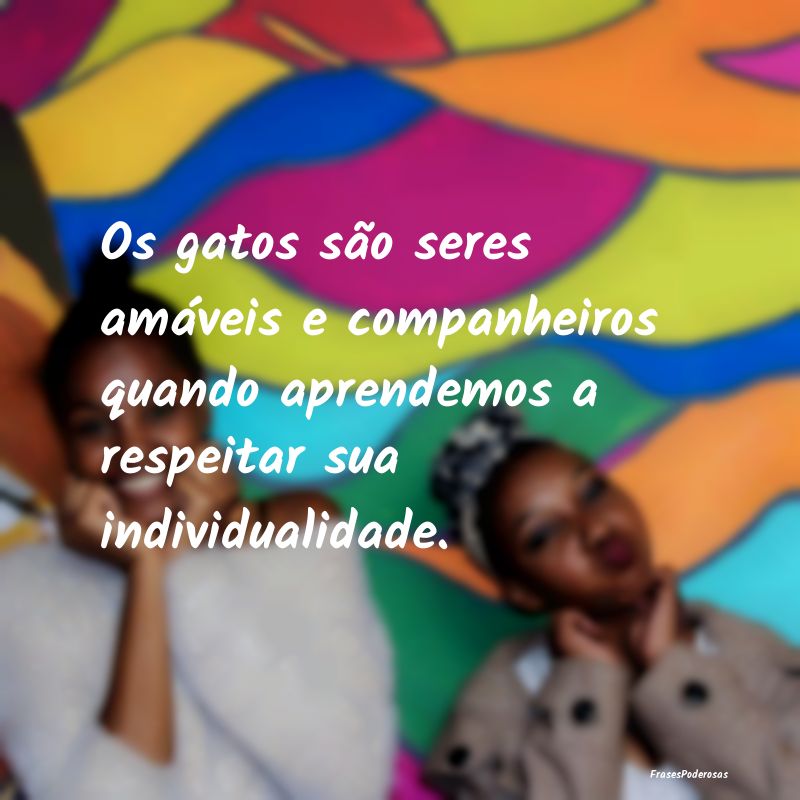 Os gatos são seres amáveis e companheiros quando... Os gatos são seres amáveis e companheiros quando...