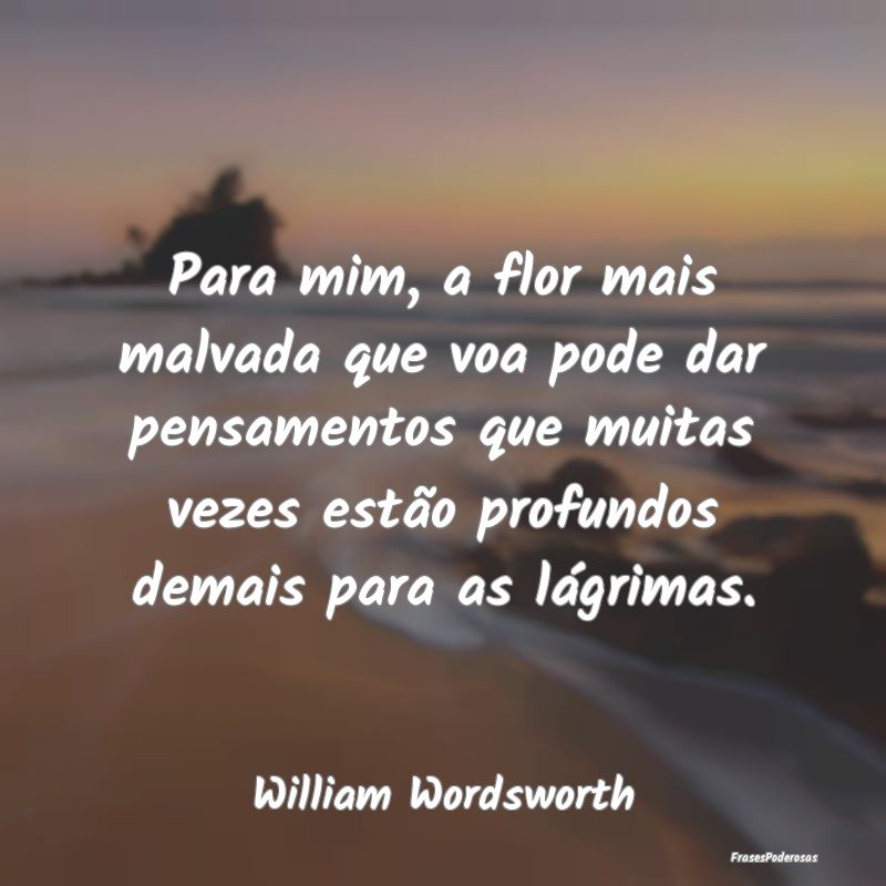 Para mim, a flor mais malvada que voa pode dar pen... Para mim, a flor mais malvada que voa pode dar pen...