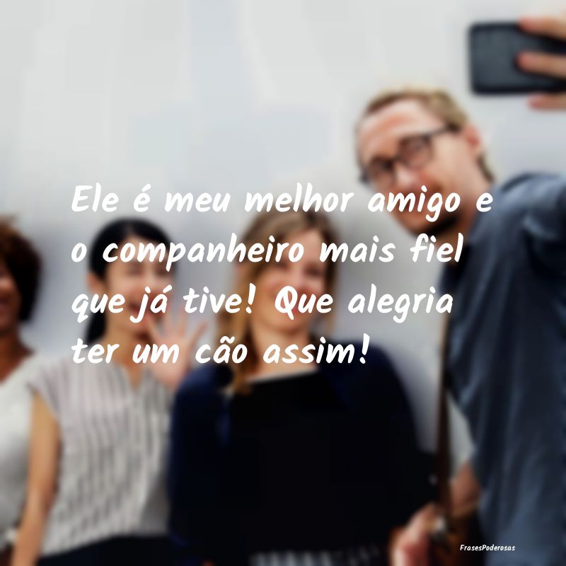 Ele é meu melhor amigo e o companheiro mais fiel ... Ele é meu melhor amigo e o companheiro mais fiel ...