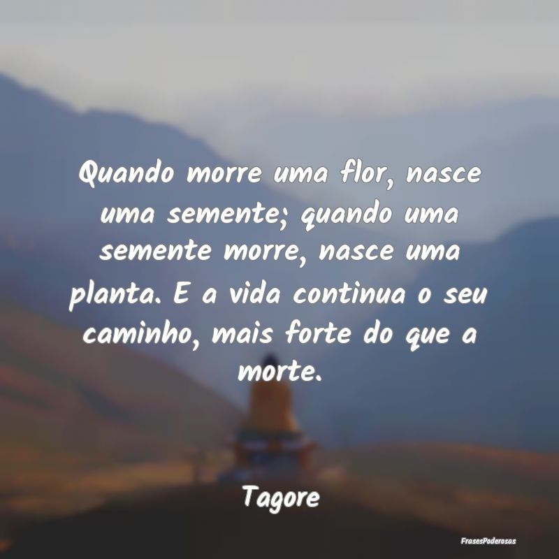 Quando morre uma flor, nasce uma semente; quando u... Quando morre uma flor, nasce uma semente; quando u...