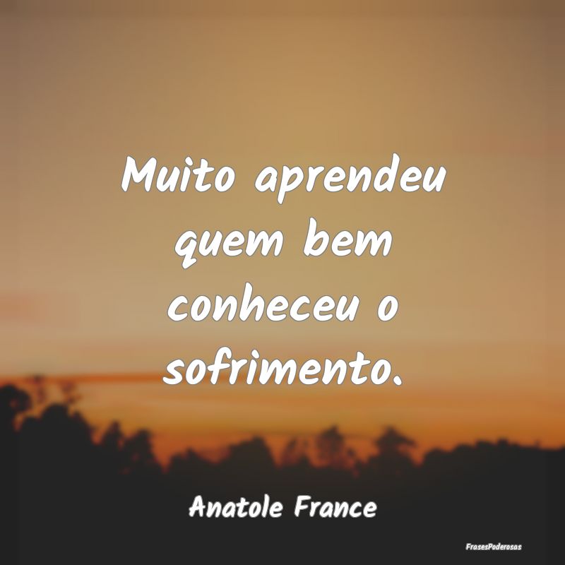 Muito aprendeu quem bem conheceu o sofrimento....