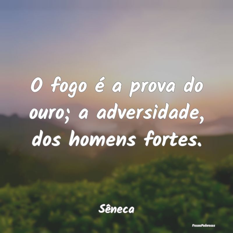 O fogo é a prova do ouro; a adversidade, dos home...