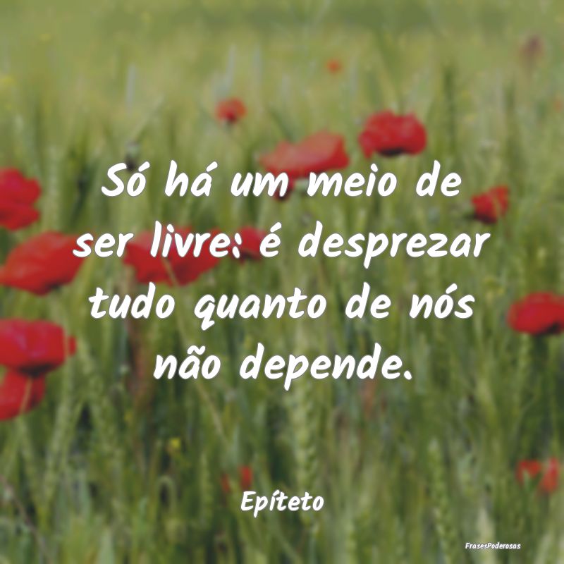 Só há um meio de ser livre: é desprezar tudo qu...