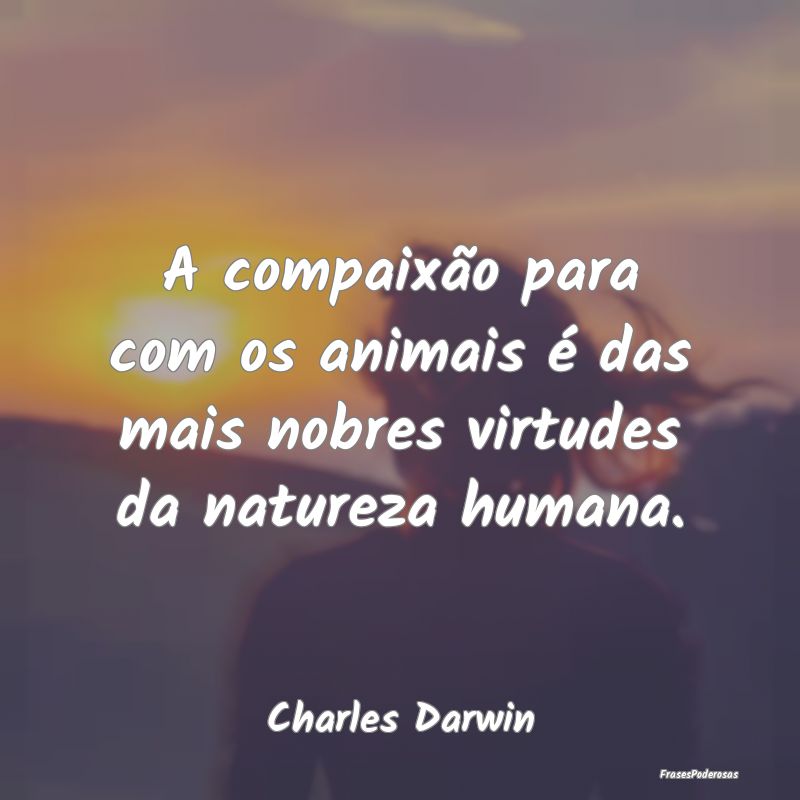 A compaixão para com os animais é das mais nobre...