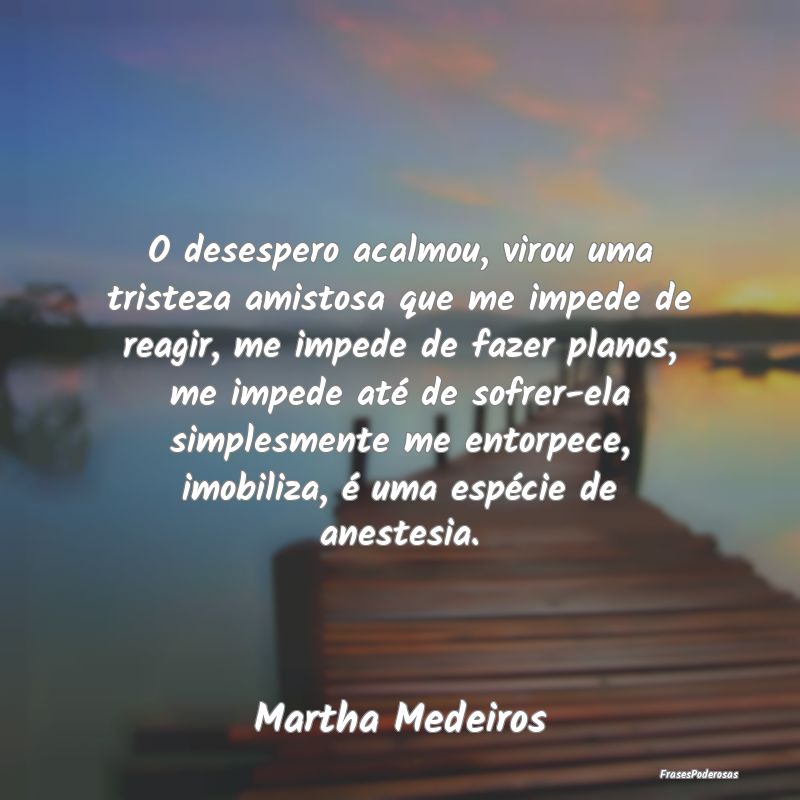 O desespero acalmou, virou uma tristeza amistosa q... O desespero acalmou, virou uma tristeza amistosa q...