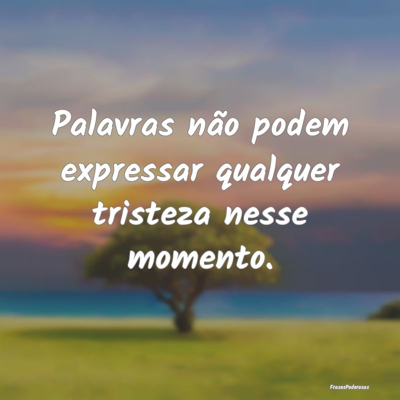 Palavras não podem expressar qualquer tristeza ne...