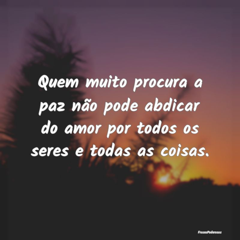 Quem muito procura a paz não pode abdicar do amor...