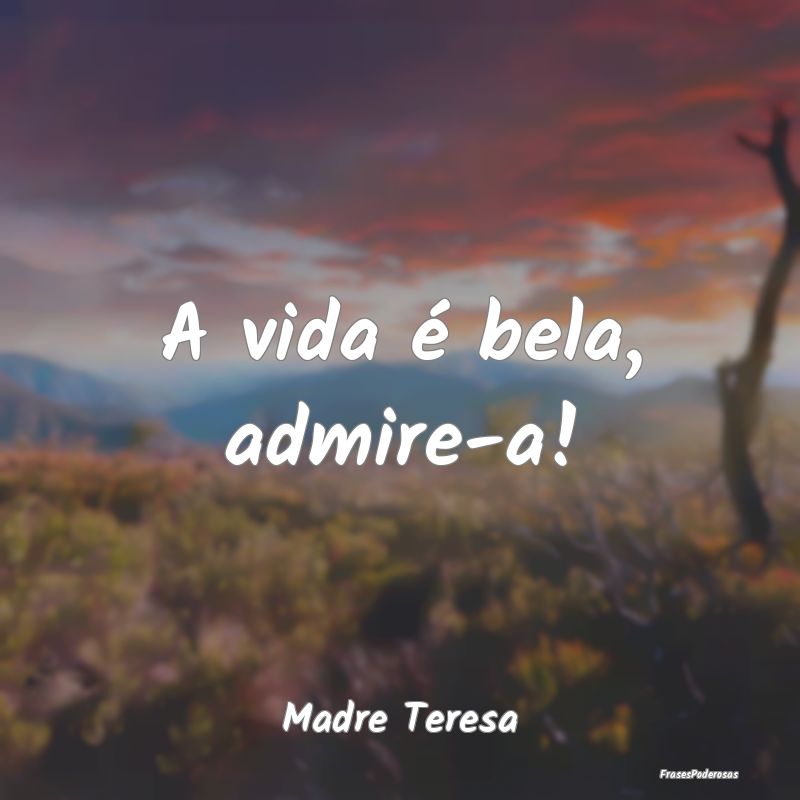 Frases de Admiração - A vida é bela, admire-a!...