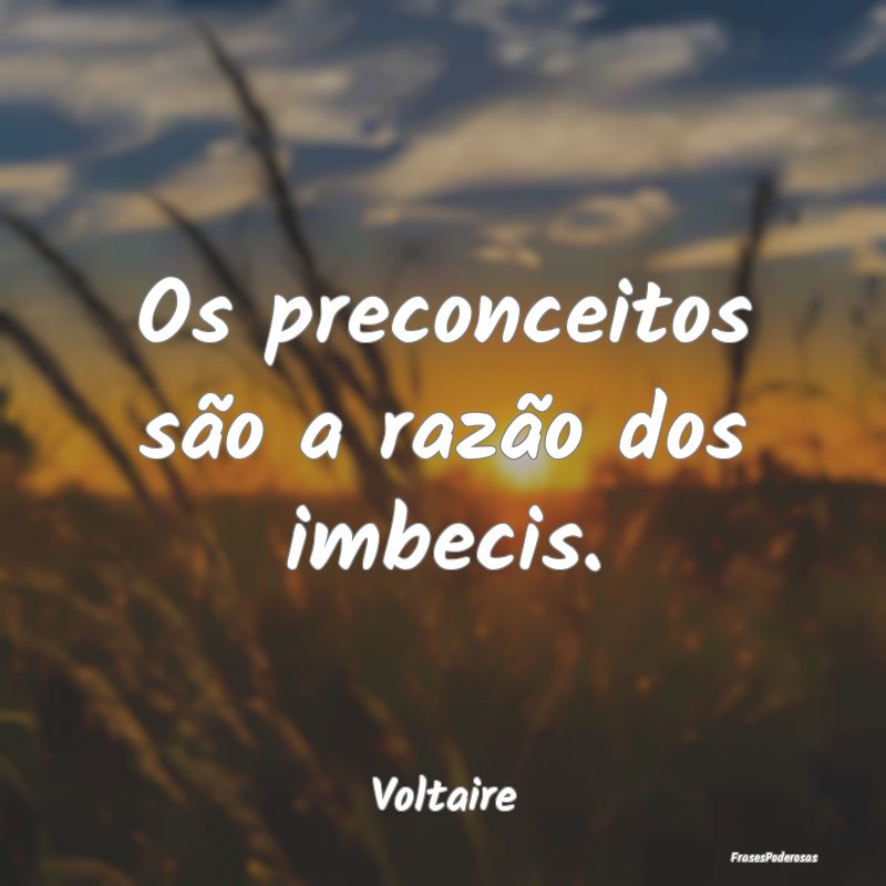 Os preconceitos são a razão dos imbecis....