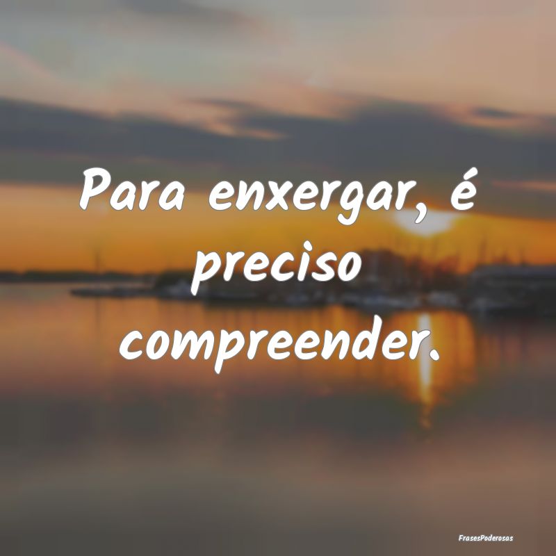 Para enxergar, é preciso compreender.
...
