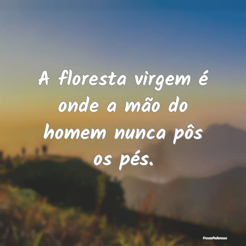 A floresta virgem é onde a mão do homem nunca p...