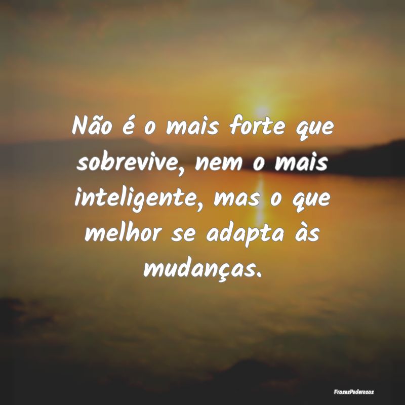 Não é o mais forte que sobrevive, nem o mais int... Não é o mais forte que sobrevive, nem o mais int...