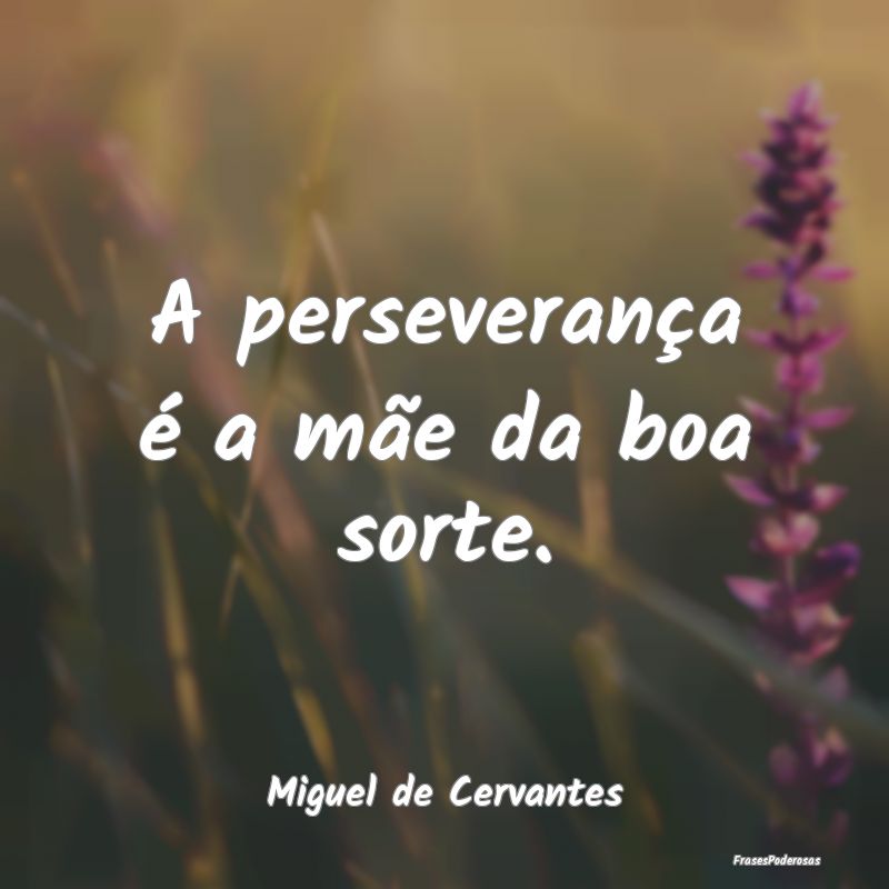 A perseverança é a mãe da boa sorte....