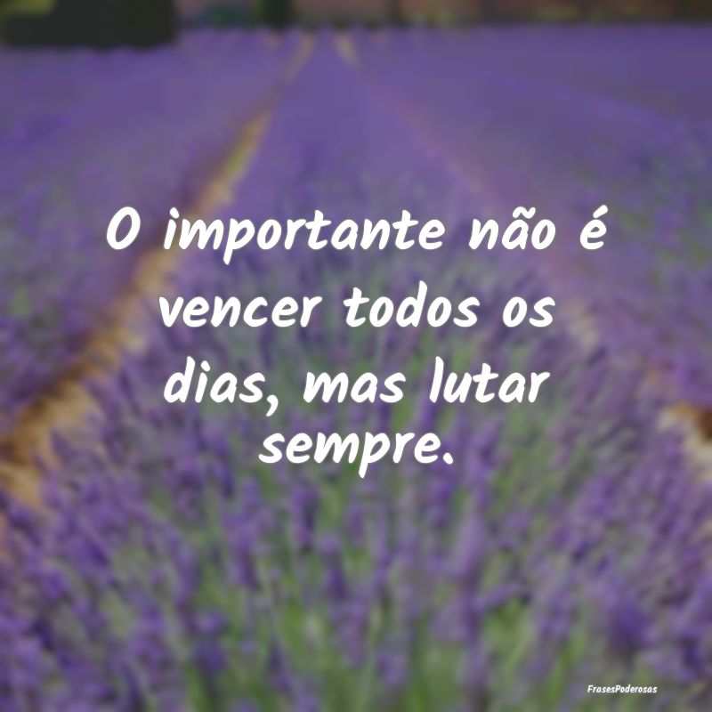 O importante não é vencer todos os dias, mas lut...
