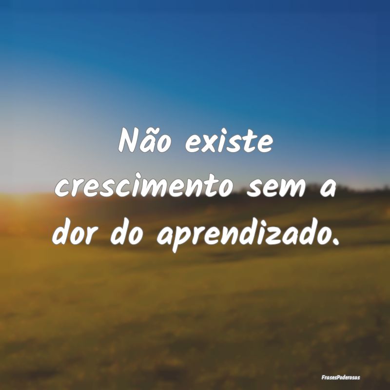 Não existe crescimento sem a dor do aprendizado.
...