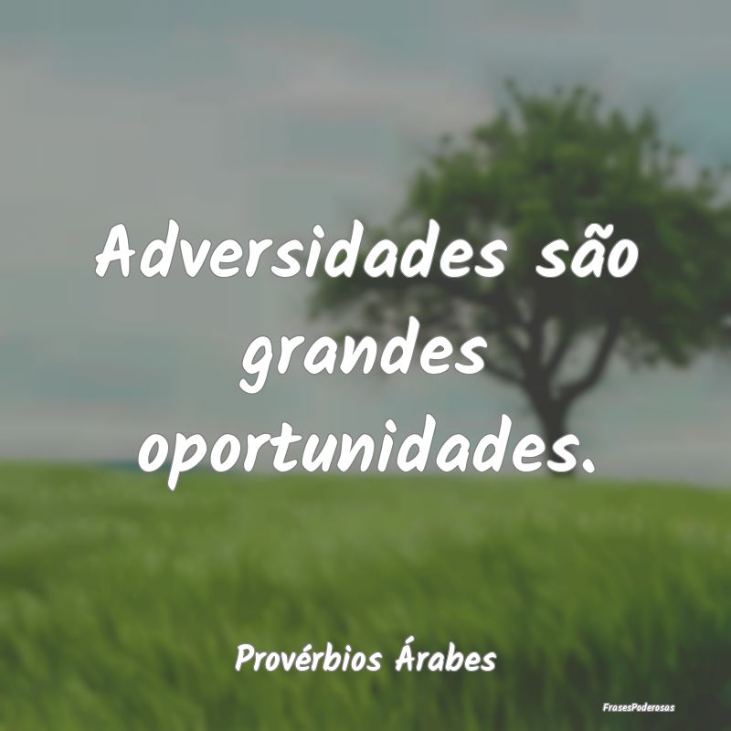 Adversidades são grandes oportunidades....