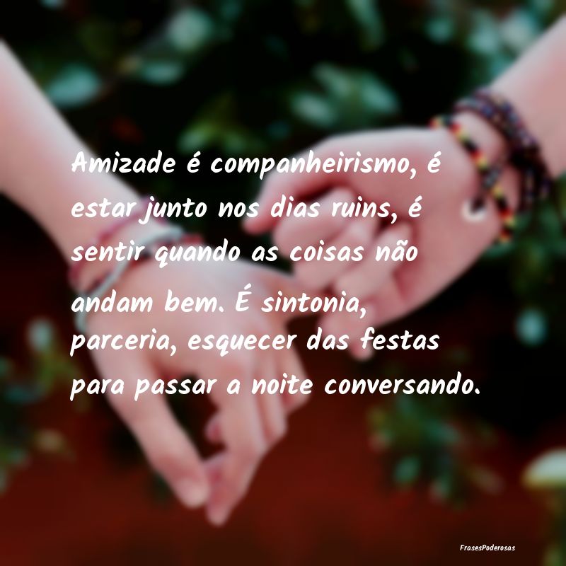 Amizade é companheirismo, é estar junto nos dias... Amizade é companheirismo, é estar junto nos dias...