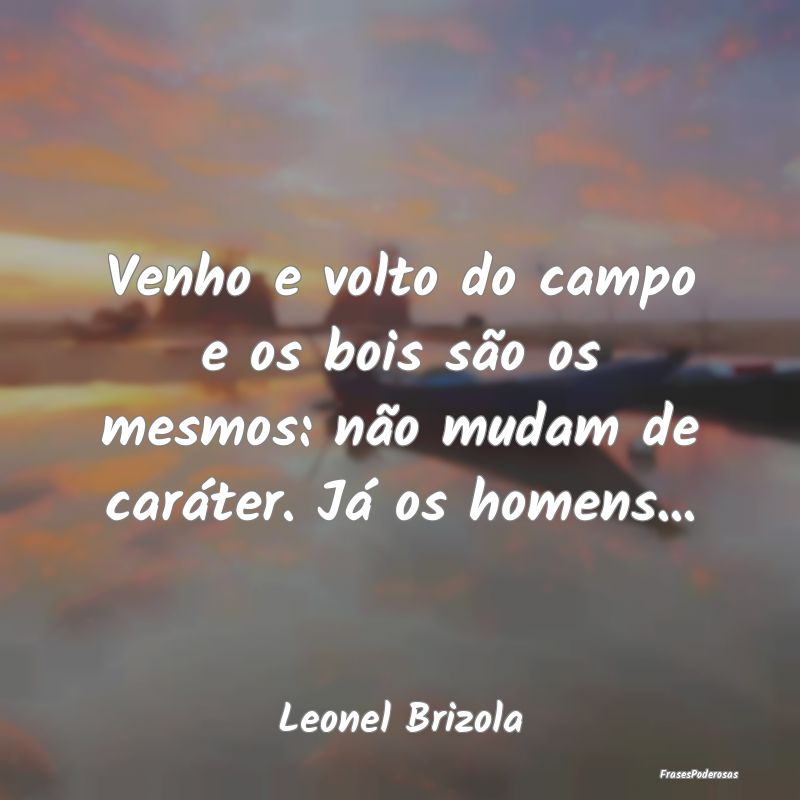 Venho e volto do campo e os bois são os mesmos: n...