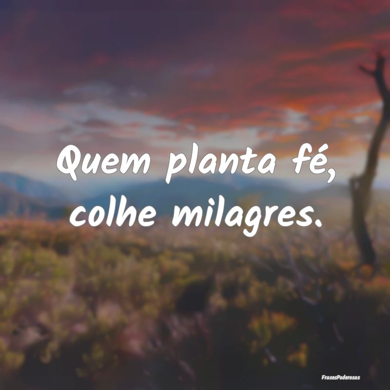 Quem planta fé, colhe milagres.
...