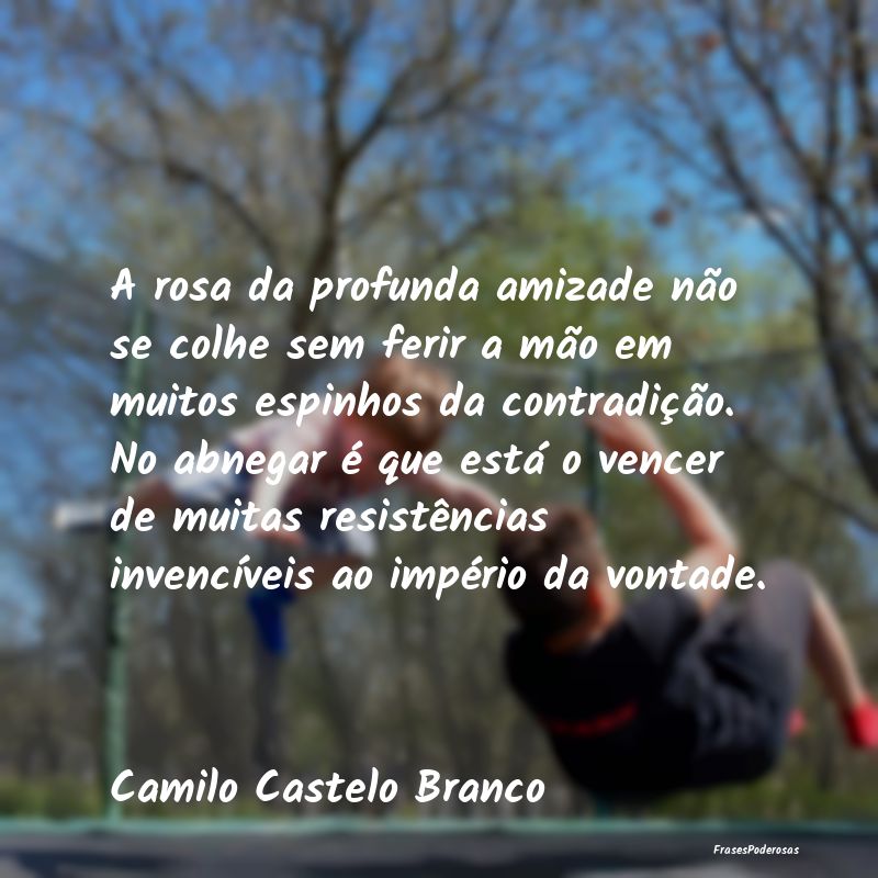 A rosa da profunda amizade não se colhe sem ferir...