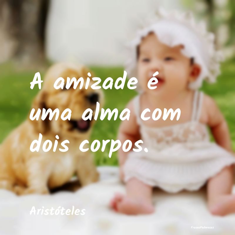 A amizade é uma alma com dois corpos....