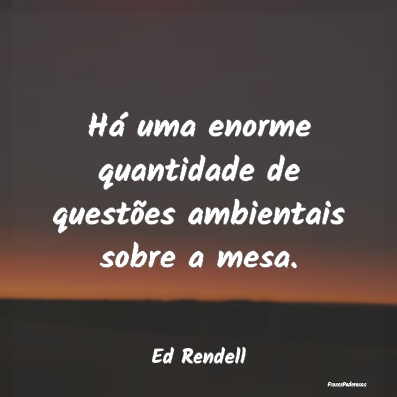 Há uma enorme quantidade de questões ambientais ...