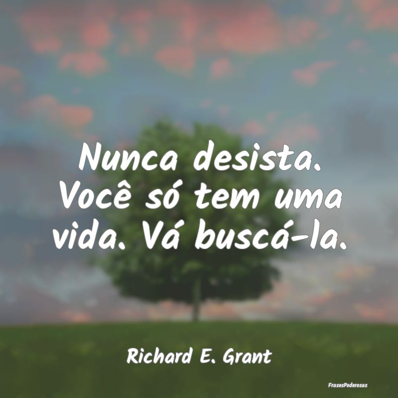 Nunca desista. Você só tem uma vida. Vá buscá-...