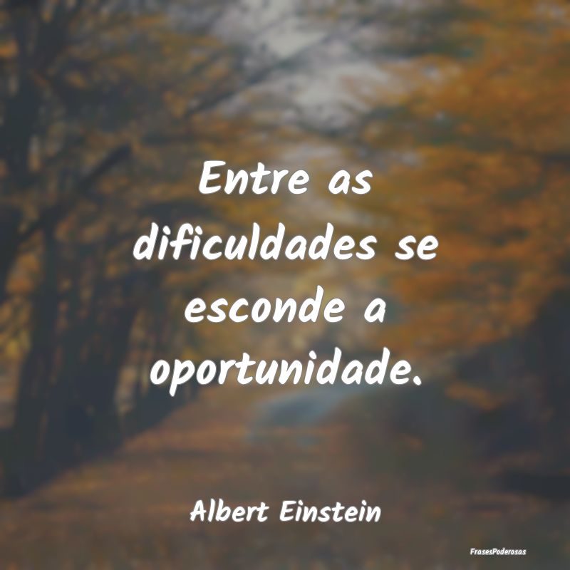 Entre as dificuldades se esconde a oportunidade....