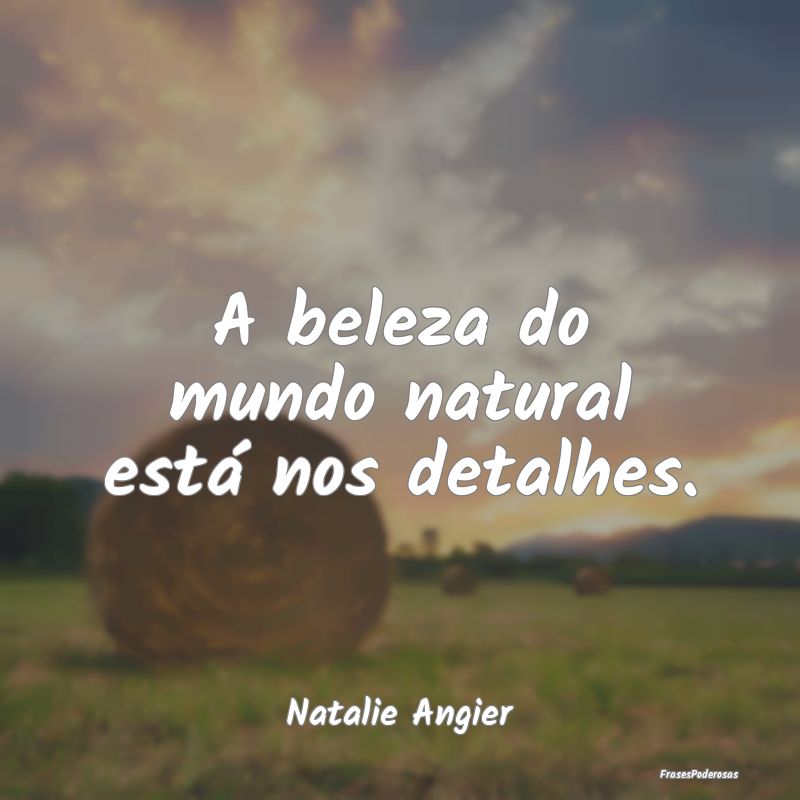 A beleza do mundo natural está nos detalhes....
