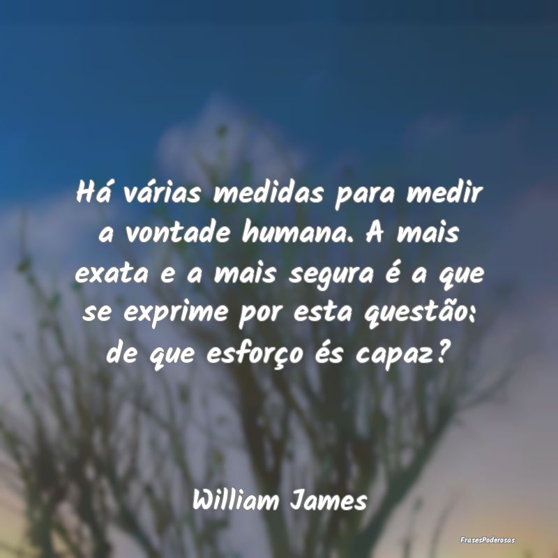 Há várias medidas para medir a vontade humana. A... Há várias medidas para medir a vontade humana. A...