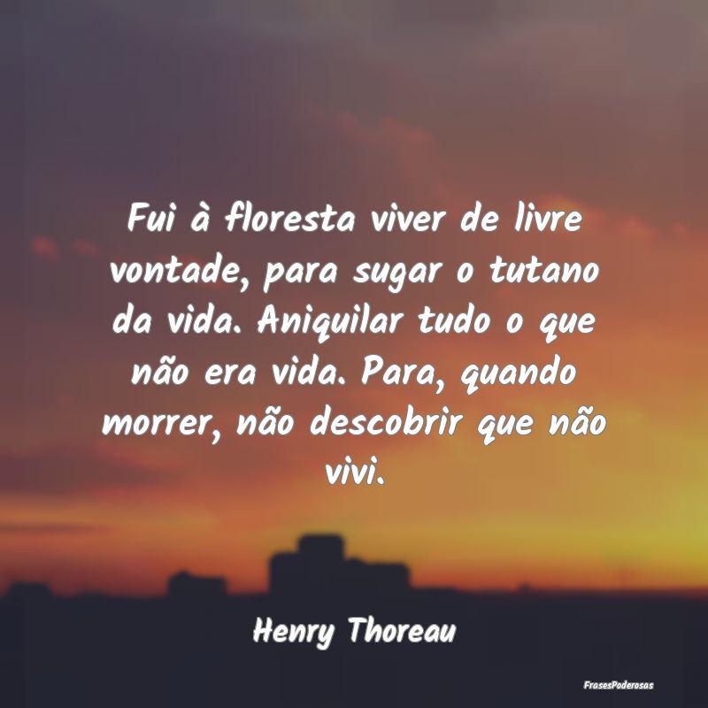 Fui à floresta viver de livre vontade, para sugar... Fui à floresta viver de livre vontade, para sugar...
