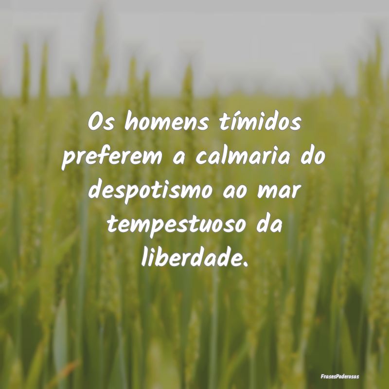 Os homens tímidos preferem a calmaria do despotis...