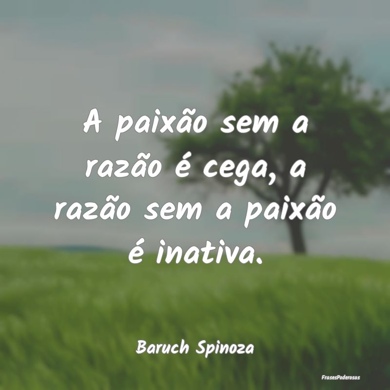 A paixão sem a razão é cega, a razão sem a pai...