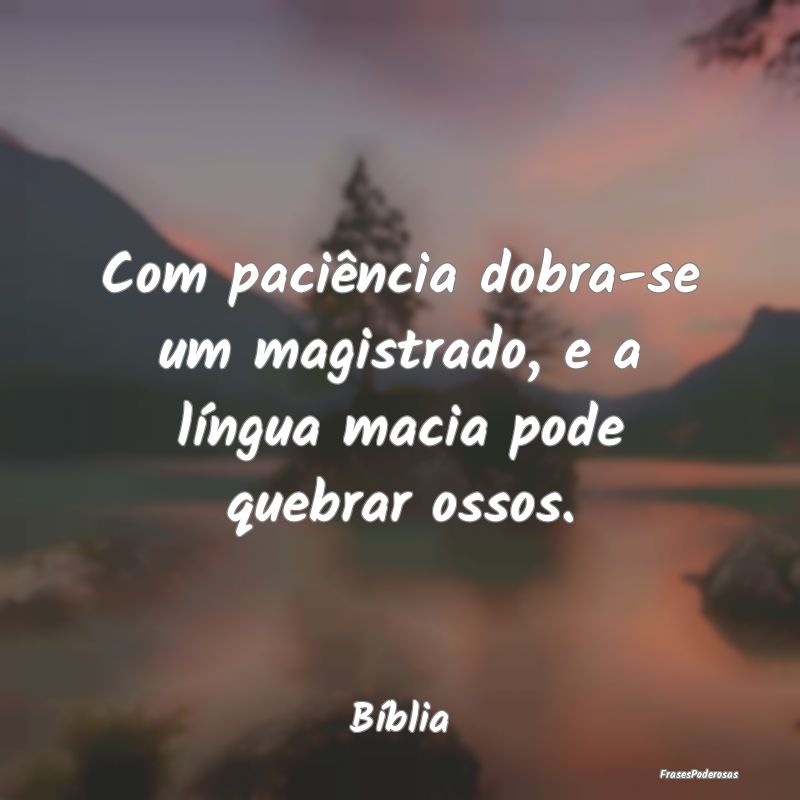 Com paciência dobra-se um magistrado, e a língua...