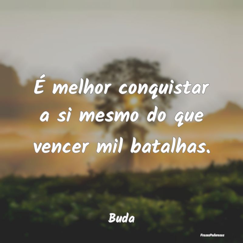 É melhor conquistar a si mesmo do que vencer mil ...
