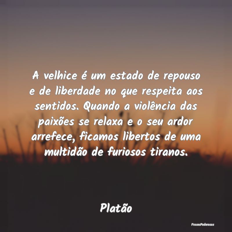 A velhice é um estado de repouso e de liberdade n...